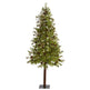 7' Wyoming Alpine Artificial Christmas Tree with 200 Clear (multifunction) LED Lights and Pine Cones on Natural Trunk-Christmas Tree-Parc Decor
