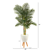 70” Golden Cane Artificial Palm Tree in White Planter with Stand-Parc Decor