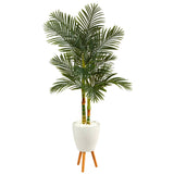 70” Golden Cane Artificial Palm Tree in White Planter with Stand-Parc Decor