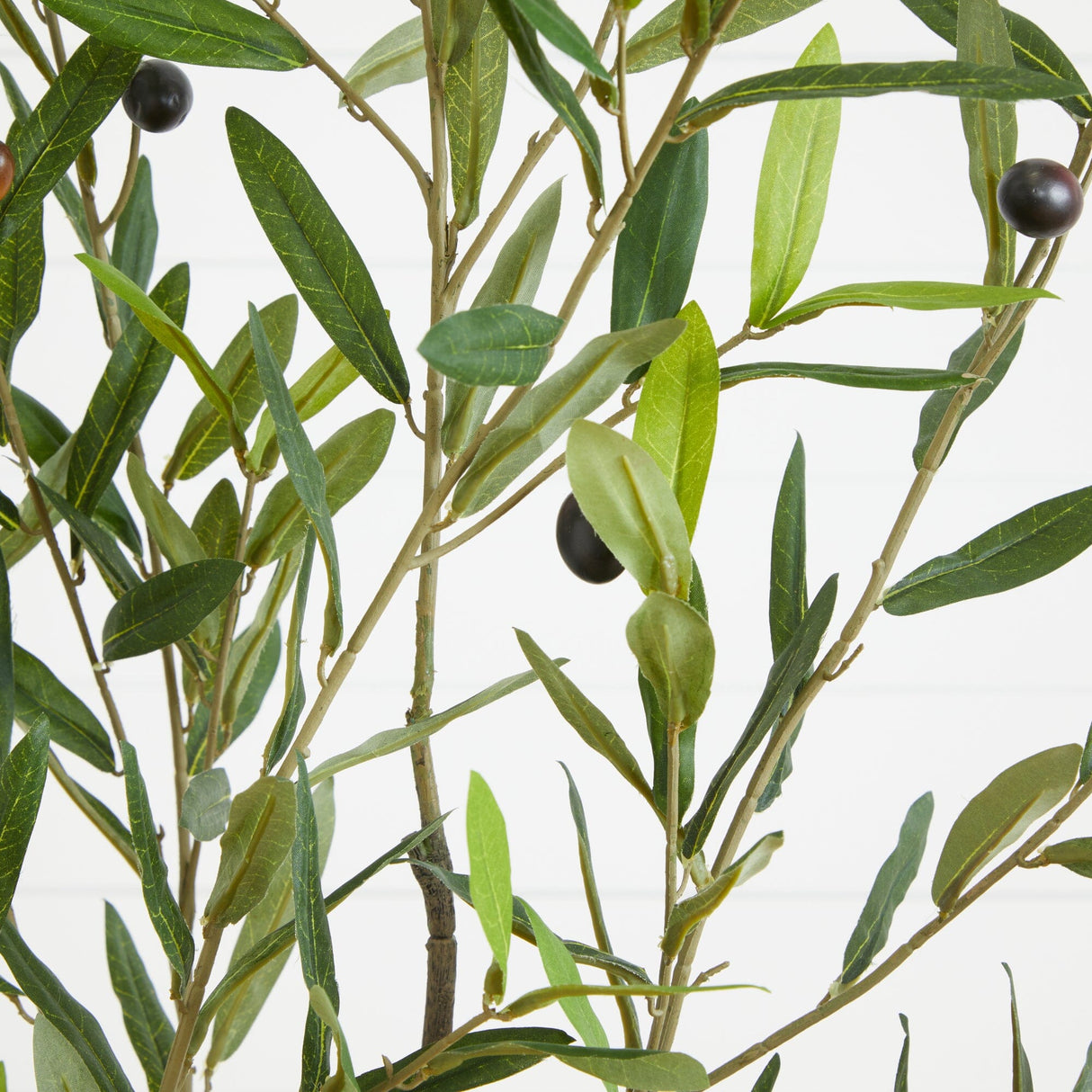 70” Olive Artificial Tree in White Tin Planter-Parc Decor