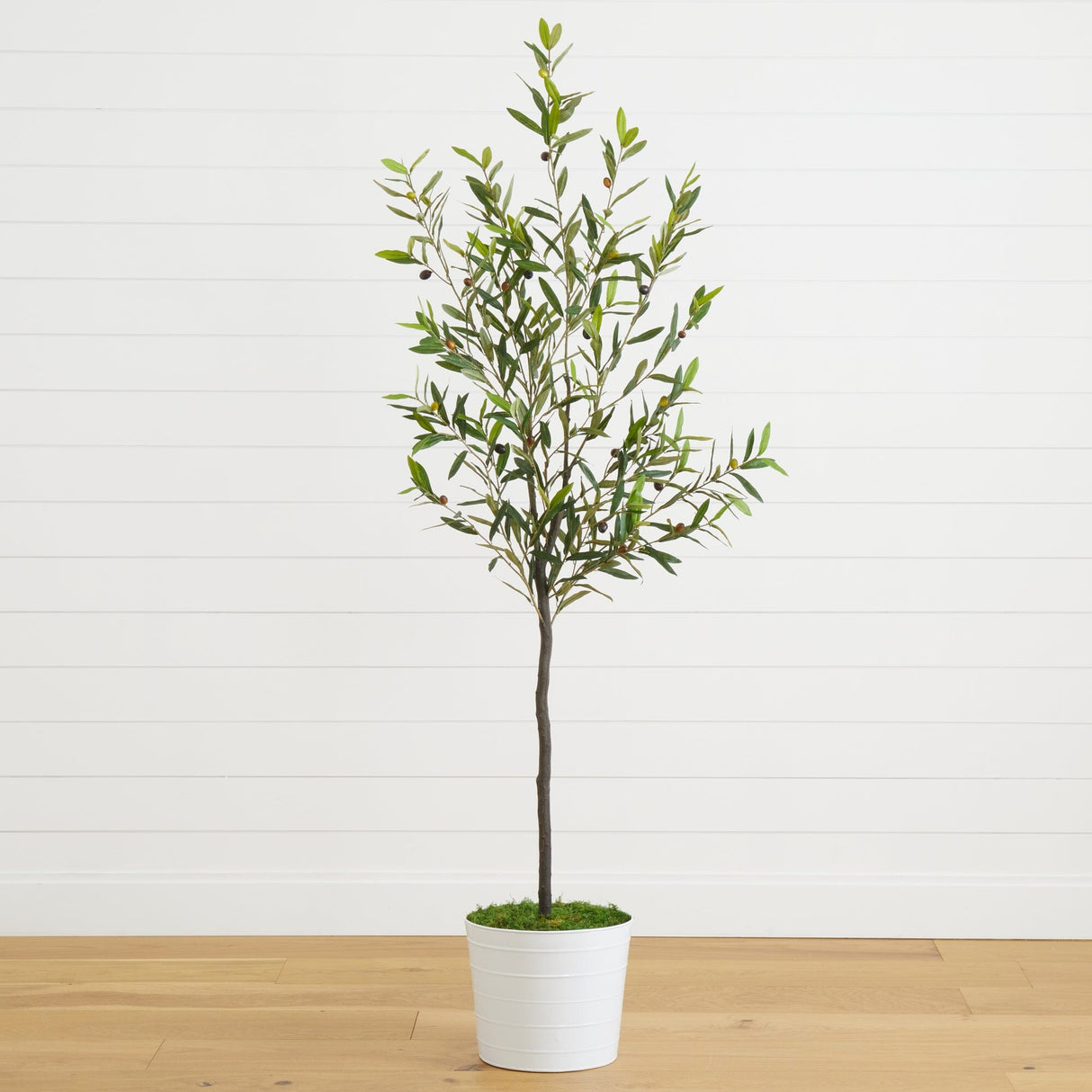 70” Olive Artificial Tree in White Tin Planter-Parc Decor