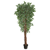 70” Variegated Ficus Artificial Tree UV Resistant (Indoor/Outdoor)-Parc Decor