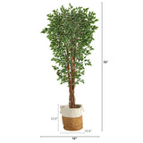70” Variegated Ficus Tree in Handmade Jute and Cotton Planter UV Resistant (Indoor/Outdoor)-Parc Decor