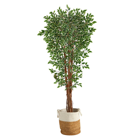 70” Variegated Ficus Tree in Handmade Jute and Cotton Planter UV Resistant (Indoor/Outdoor)-Parc Decor