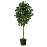 74” Ficus Artificial tree in Black Tin Planter-Parc Decor