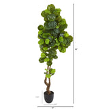 78” Fiddle Leaf Artificial Tree (Real Touch)-Parc Decor