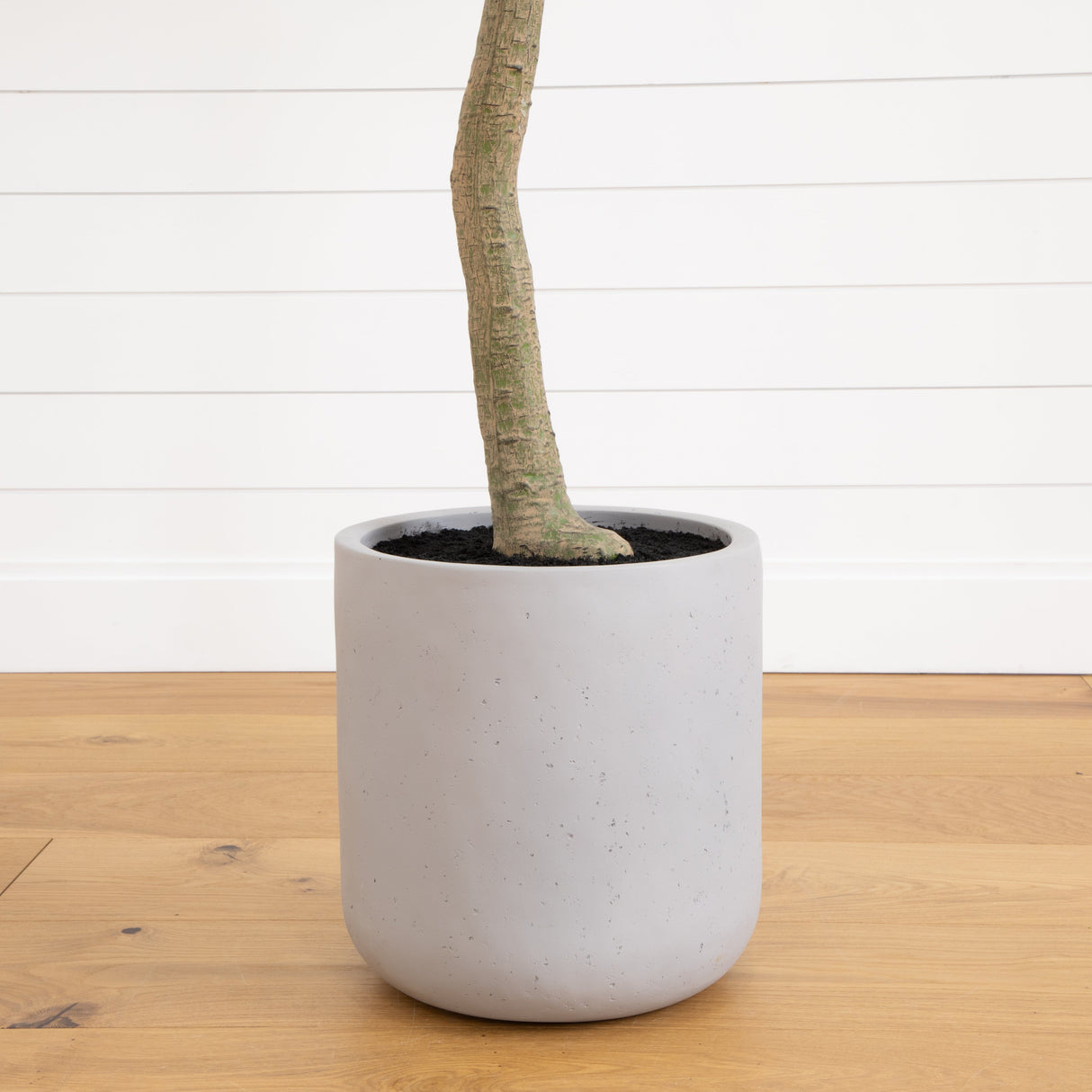 7.5’ Artificial Greco Eucalyptus Tree with Resin Stone Planter-Parc Decor