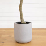 7.5’ Artificial Greco Eucalyptus Tree with Resin Stone Planter-Parc Decor