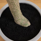 7.5’ Artificial Greco Eucalyptus Tree with Resin Stone Planter-Parc Decor