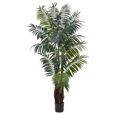 7.5’ Bulb Areca Palm Tree-Parc Decor