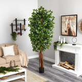 7.5’ Super Deluxe Ficus Tree-Parc Decor