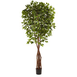 7.5’ Super Deluxe Ficus Tree-Parc Decor