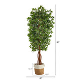 7.5' Artificial Deluxe Ficus Tree with Handmade Jute & Cotton Basket-Plant in Planter-Parc Decor