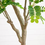 7.5’ Artificial Greco Locust Citrus Tree in Decorative Planter-Tree-Parc Decor