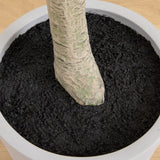 7.5’ Artificial Greco Locust Citrus Tree in Decorative Planter-Tree-Parc Decor