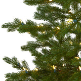 7.5' Fairbanks Fir Artificial Christmas Tree with 350 Clear Warm-Christmas Tree-Parc Decor