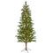 7.5' Fairbanks Fir Artificial Christmas Tree with 350 Clear Warm-Christmas Tree-Parc Decor