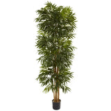 7.5’ Phoenix Palm Tree-Tree-Parc Decor