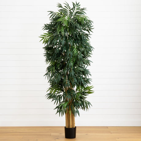 7.5’ Phoenix Palm Tree-Tree-Parc Decor