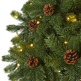 7.5' Rocky Mountain Spruce Artificial Christmas Tree with Pinecones and 400 Clear LED Lights-Christmas Tree-Parc Decor