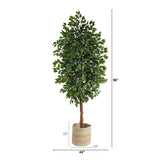 8’ Ficus Artificial Tree with Handmade Natural Cotton Multicolored Woven Planter-Parc Decor
