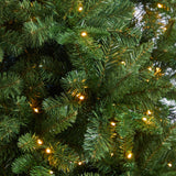 8’ Grand Teton Spruce Flat Back Tree with 280 Warm White LED Lights and 1208 Bendable Branches-Parc Decor