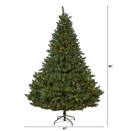 8’ Northern Rocky Spruce Artificial Christmas Tree with 500 Clear Lights and 1948 Bendable Branches-Parc Decor
