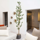8' Artificial Olive Tree with Natural Trunk-Tree-Parc Decor