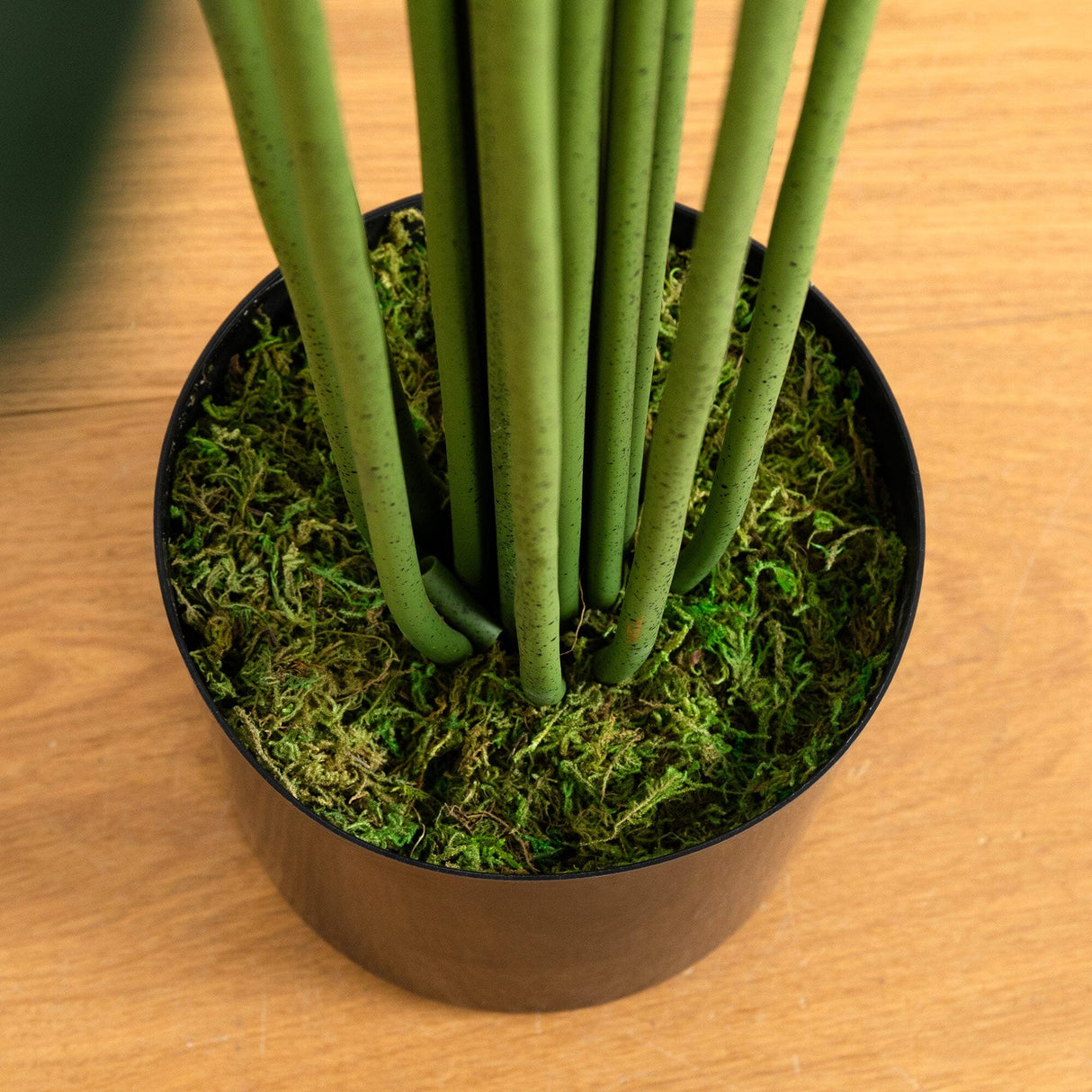 8’ Artificial Paradise Palm Tree-Tree-Parc Decor