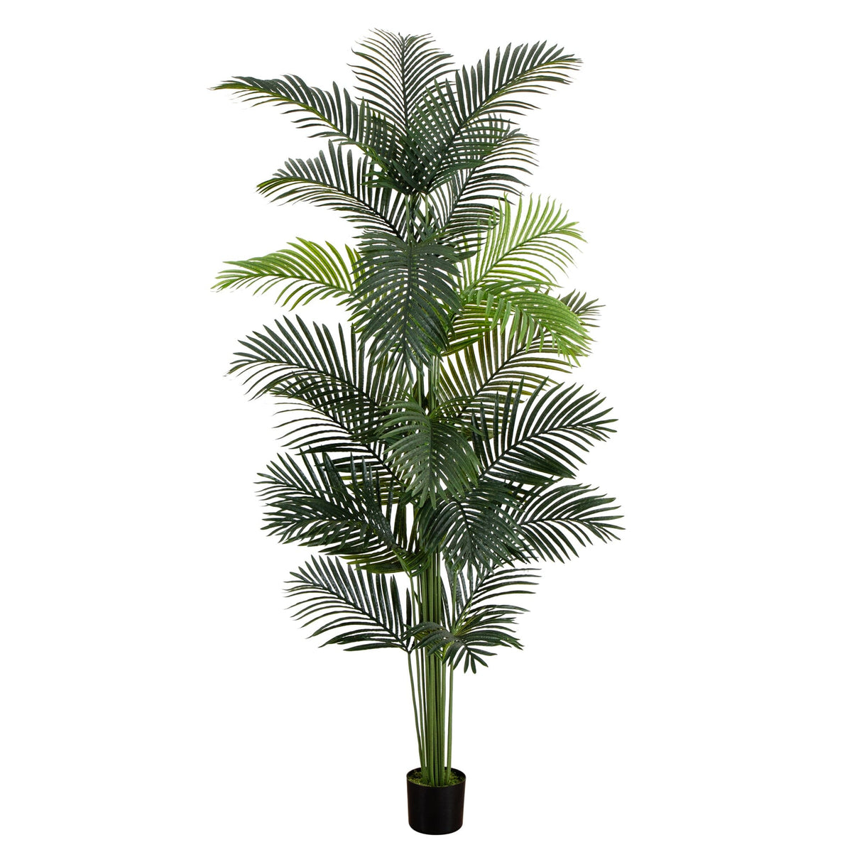 8’ Artificial Paradise Palm Tree-Tree-Parc Decor