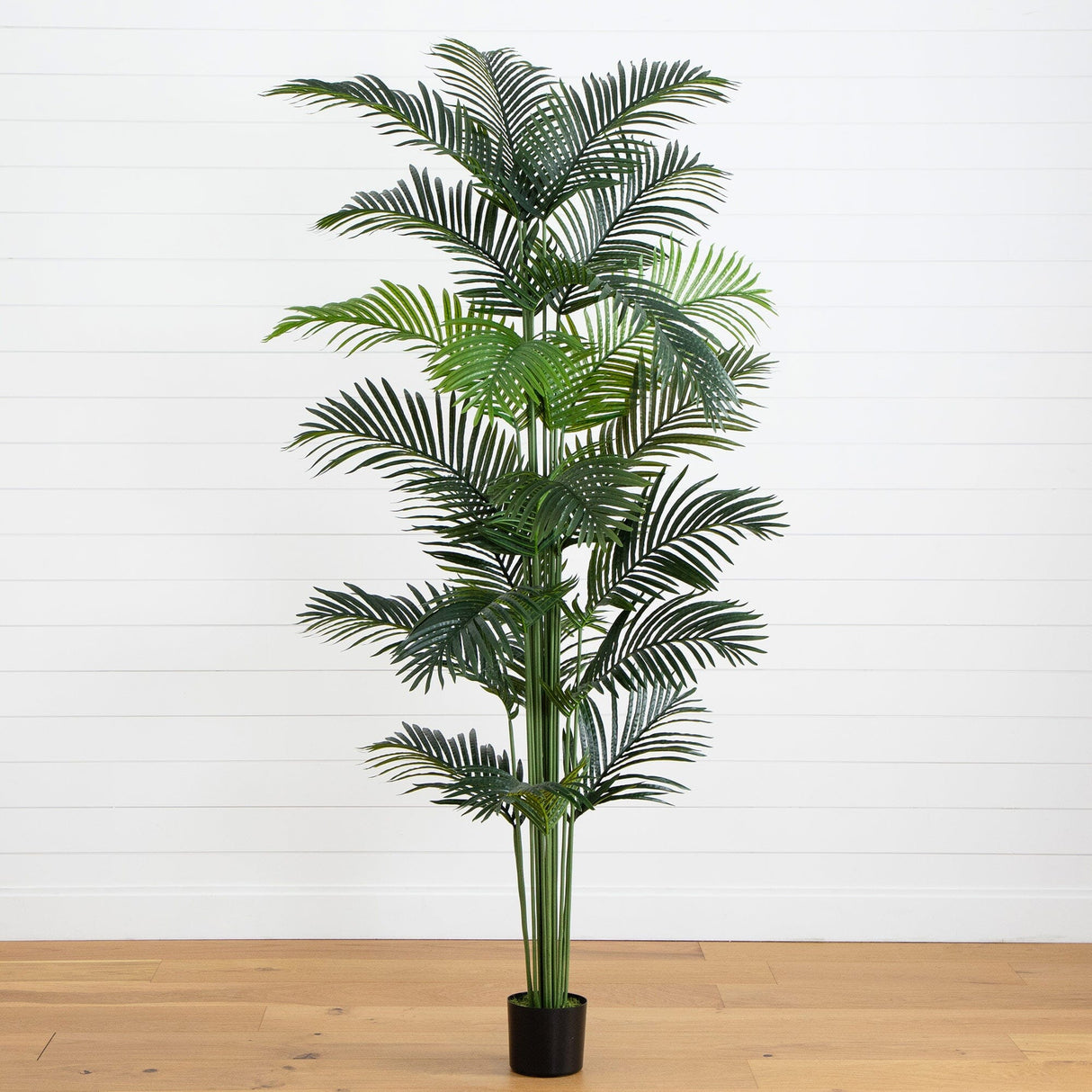 8’ Artificial Paradise Palm Tree-Tree-Parc Decor