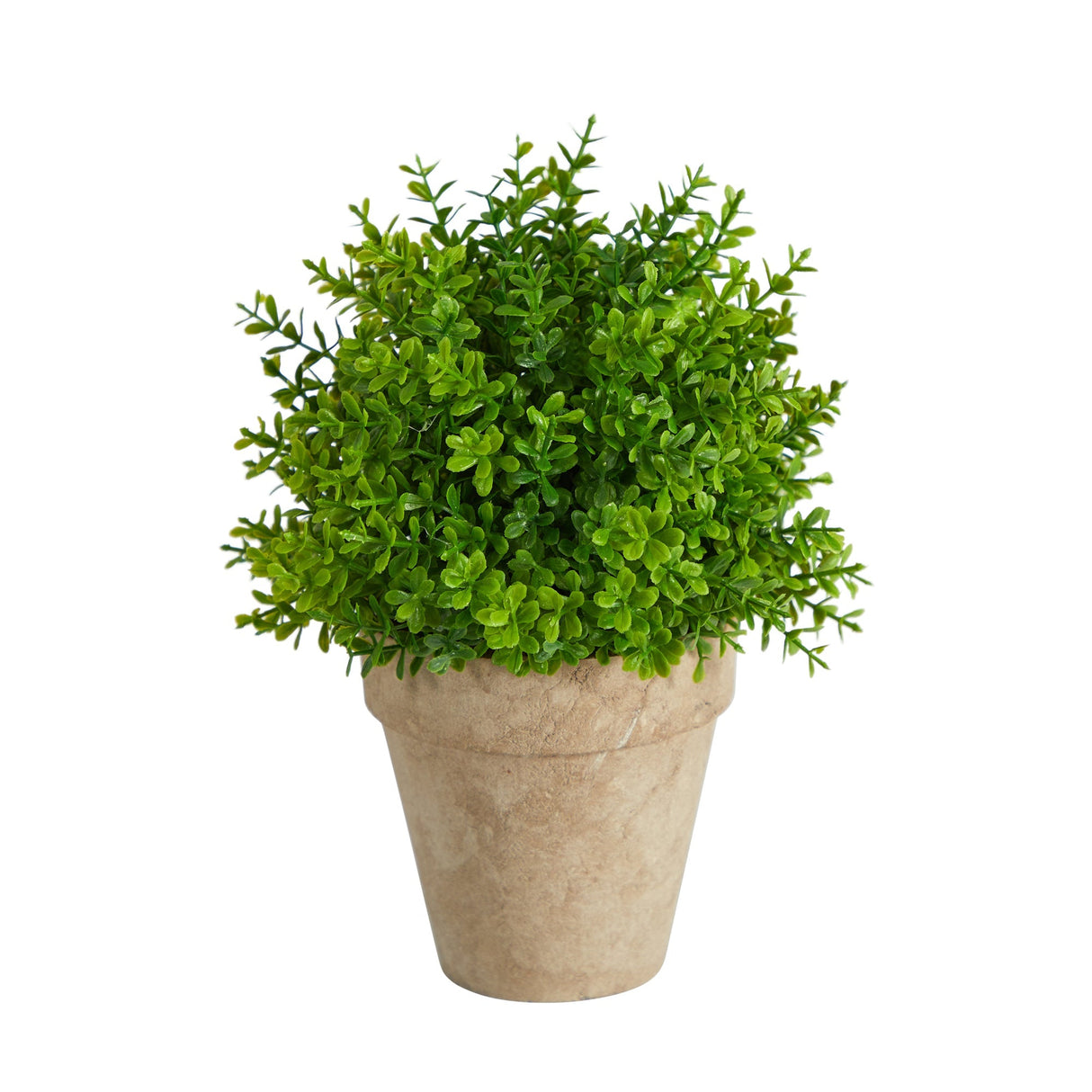 8” Boxwood Artificial Plant in Decorative Planter-Plant-Parc Decor