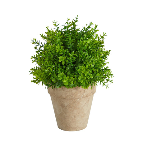 8” Boxwood Artificial Plant in Decorative Planter-Plant-Parc Decor