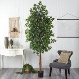 8’ Ficus Tree w/1512 Lvs-Tree-Parc Decor