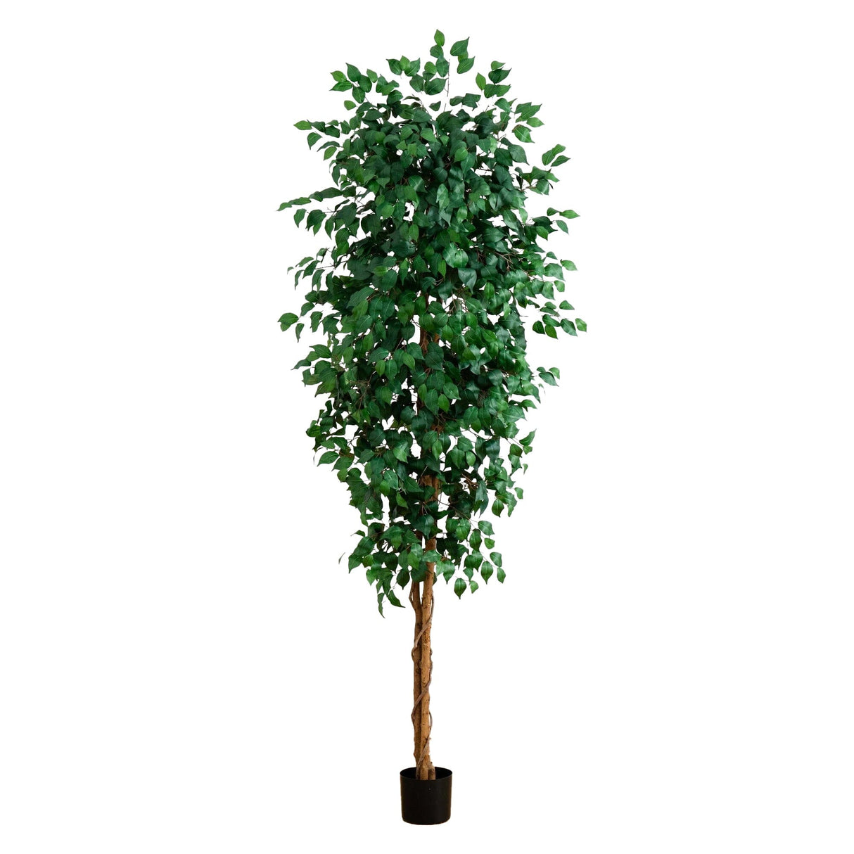 8’ Ficus Tree w/1512 Lvs-Tree-Parc Decor