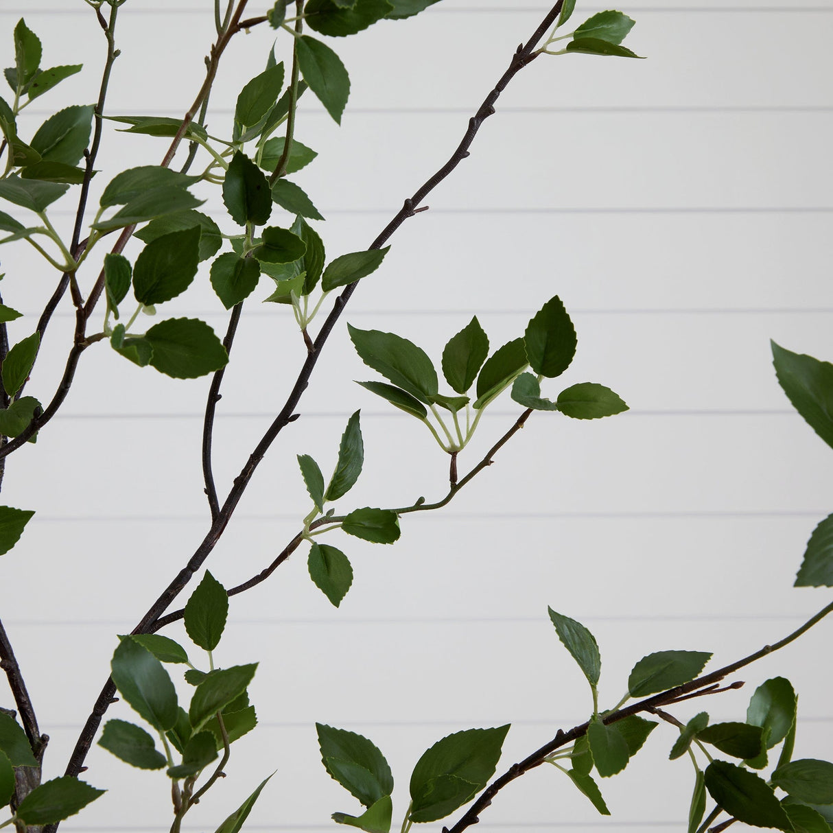 8' Minimalist Citrus Artificial Tree-Tree-Parc Decor