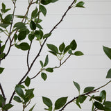 8' Minimalist Citrus Artificial Tree-Tree-Parc Decor