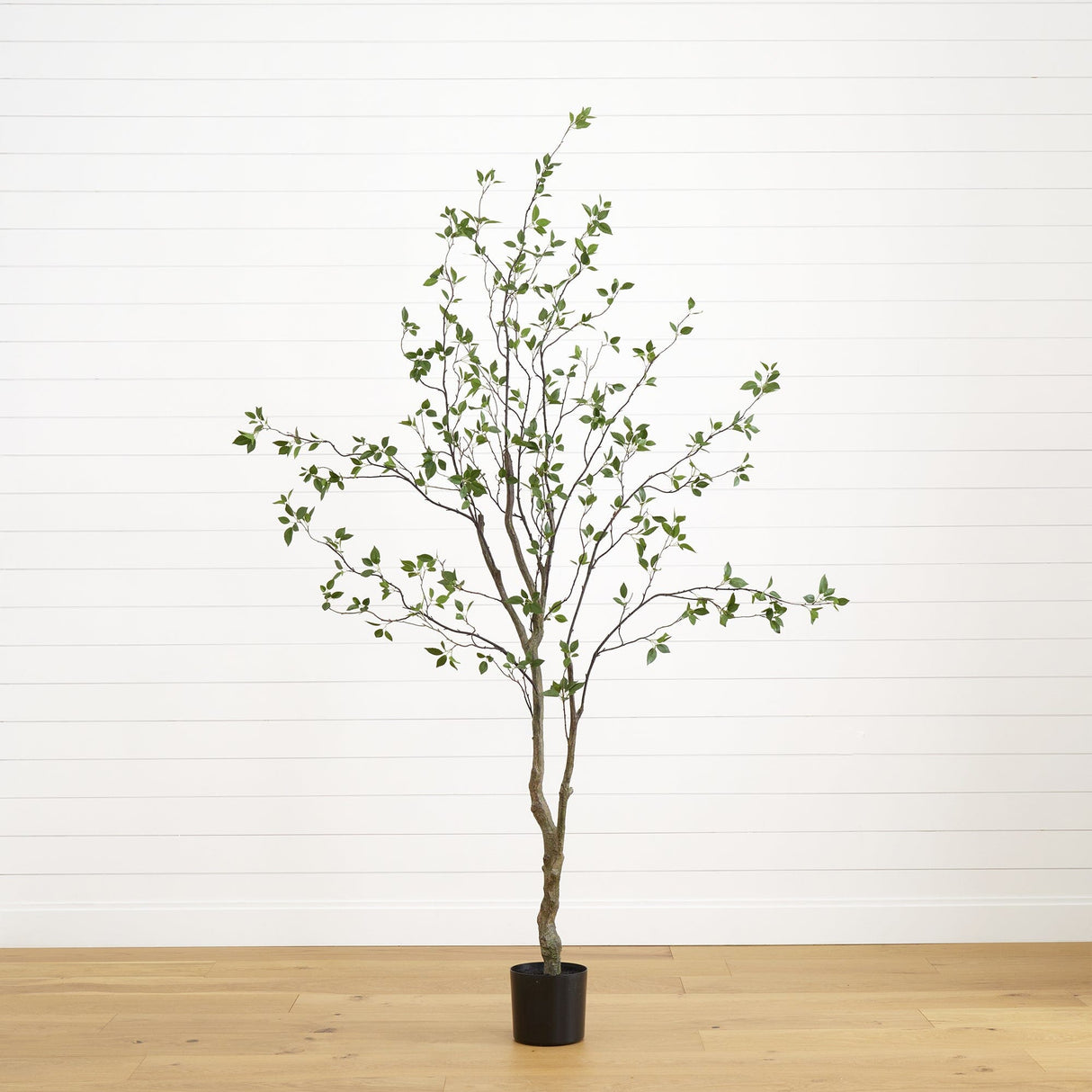 8' Minimalist Citrus Artificial Tree-Tree-Parc Decor