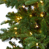 8’ South Carolina Fir Artificial Christmas Tree with 650 Clear LED Lights and 2598 Bendable Branches-Christmas Tree-Parc Decor