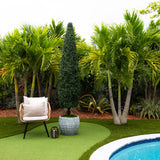 8’ UV Resistant Artificial Boxwood Topiary Cone Tree (Indoor/Outdoor)-Tree-Parc Decor