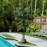8’ UV Resistant Artificial Double Robellini Palm Tree (Indoor/Outdoor)-Tree-Parc Decor