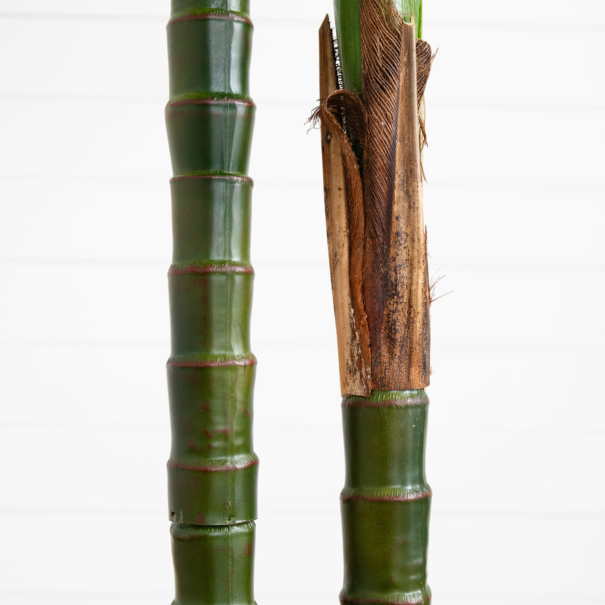 8’ UV Resistant Artificial Double Robellini Palm Tree (Indoor/Outdoor)-Tree-Parc Decor