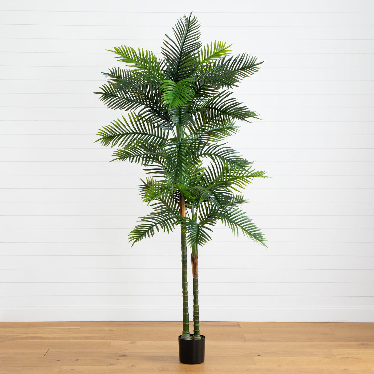 8’ UV Resistant Artificial Double Robellini Palm Tree (Indoor/Outdoor)-Tree-Parc Decor