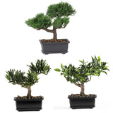 8.5" Bonsai Silk Plant Collection (Set of 3)"-Parc Decor