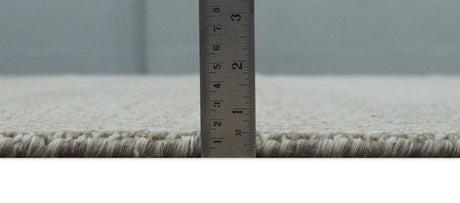 8x10 Beige and Ivory Hand Knotted Rug Contemporary area Rug