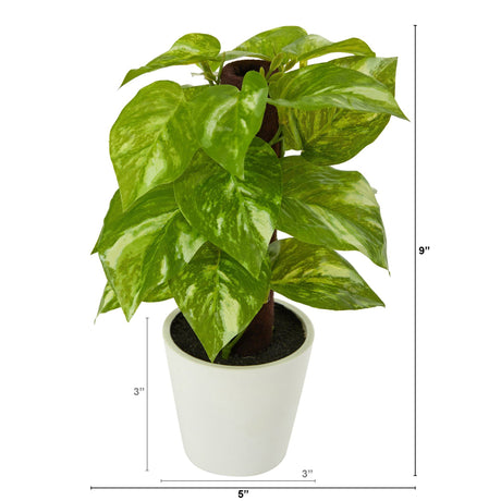 9” Artificial Pothos Plant in White Planter (Real Touch)-Parc Decor