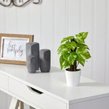 9” Artificial Pothos Plant in White Planter (Real Touch)-Parc Decor