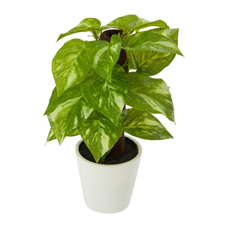 9” Artificial Pothos Plant in White Planter (Real Touch)-Parc Decor