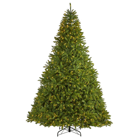 9’ Sierra Spruce “Natural Look” Artificial Christmas Tree with 1000 Clear LED Lights and 4443 Tips-Parc Decor
