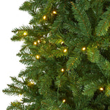 9’ Slim Green Mountain Pine Artificial Christmas Tree with 600 Clear LED Lights-Parc Decor